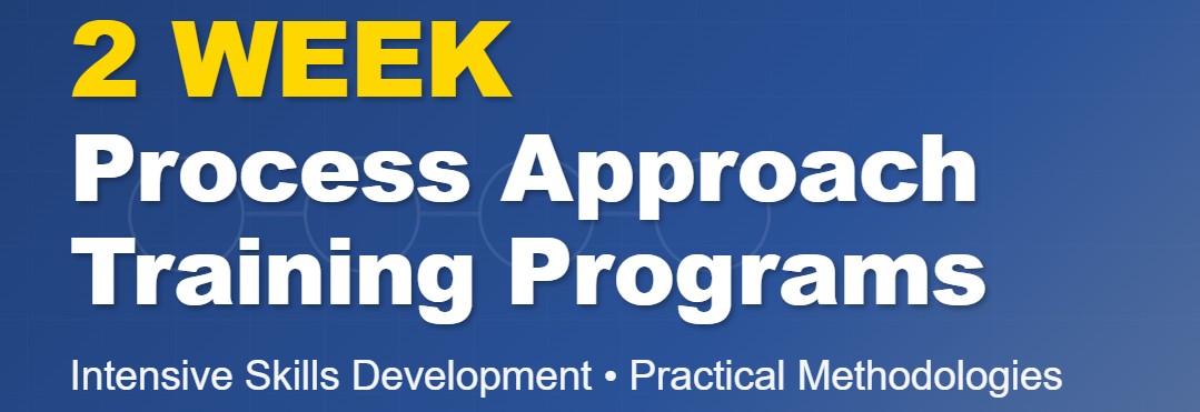 <h6>Online Instructor Lead Process-by-Process Training</h6>Build Operate Transfer Projects<br> <h4>BOT & PPP<br><h6>Leveraging Ai, Data Analytics for Performance Effectiveness</h6>