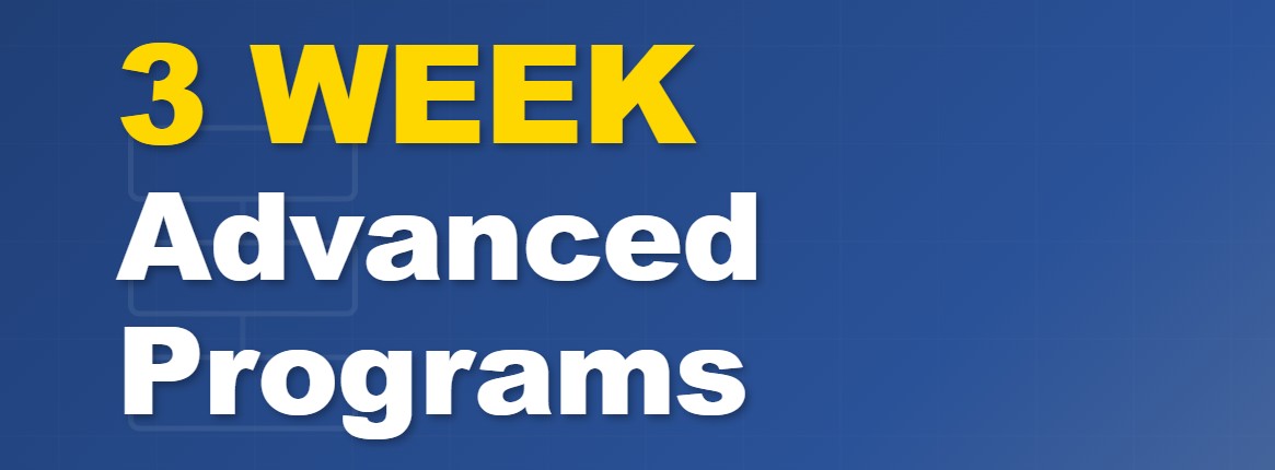 <h6>Online Instructor Lead Training</h6>Build Operate Transfer Projects<br> <h4>BOT & PPP<br><h6>Skills Development</h6>